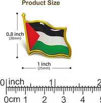 Palestine flag Pin