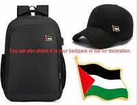 Palestine flag Pin