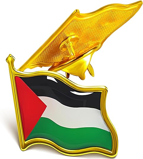 Palestine flag Pin