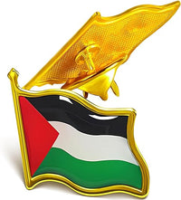 Palestine flag Pin