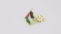 Palestine flag Pin