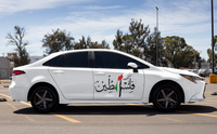 فلسطين